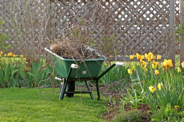 Flower Bed Cleanup Service in Midland