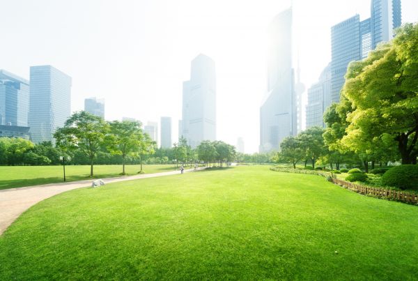 Commercial Landscape Maintenance in Midland
