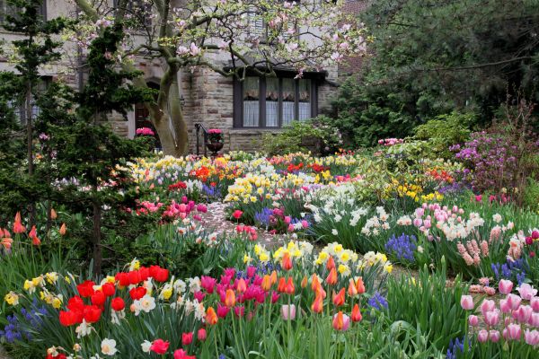 Garden Maintenance Service in Midland