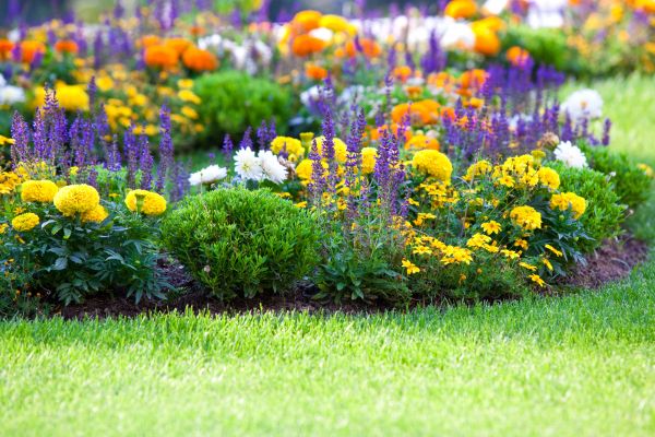 Garden Installation in Midland