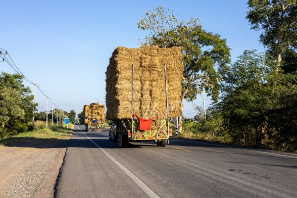 Pine Straw Delivery in Midland