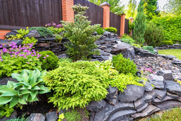 Landscape Remodeling in Midland