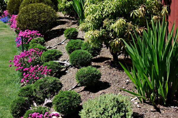 Residential Gardening in Midland