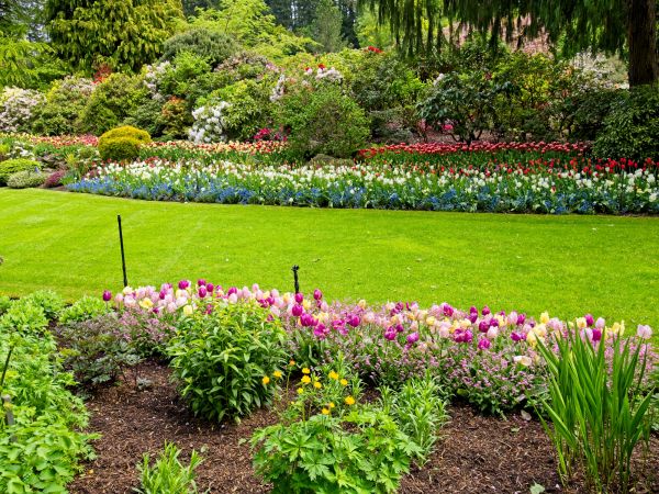 Residential Landscape Design in Midland