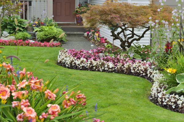 Perennial Landscaping in Midland