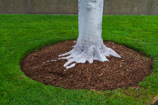 Brown Mulch Installation in Midland