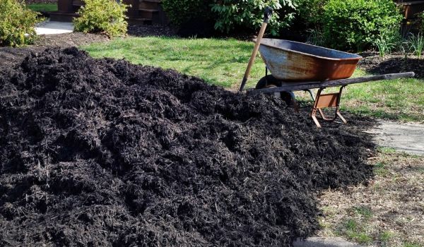Black Mulch Installation in Midland