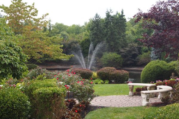 Courtyard Design Service in Midland