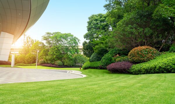Business Landscape Design in Midland