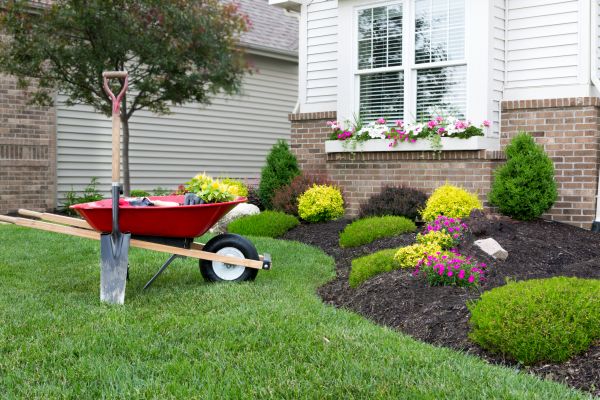 Tree And Shrub Planting in Midland