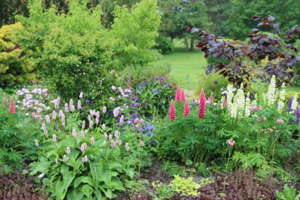Flower Bed Planting in Midland