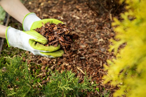 Garden Mulch Delivery in Midland