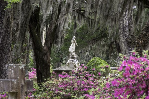 Cemetery Landscaping in Midland