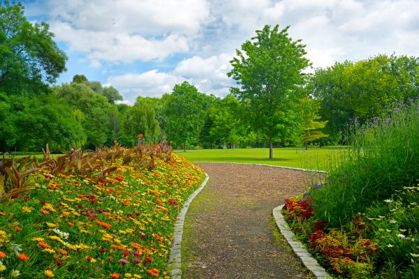 Park Landscaping in Midland