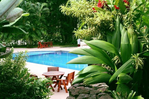 Tropical Garden Landscaping in Midland