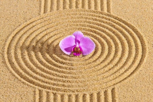 Sand Garden Landscaping in Midland