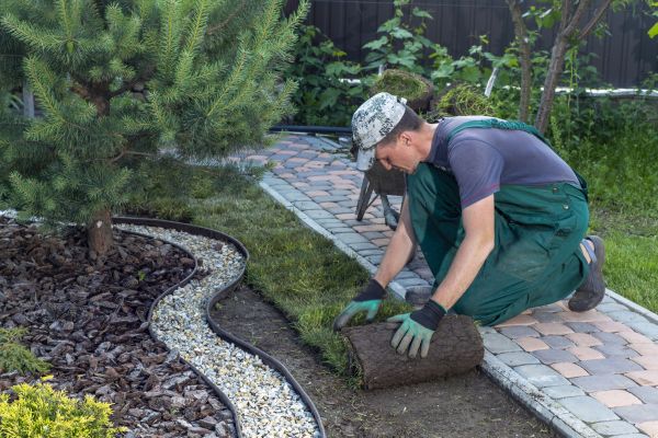 Landscaping Modification in Midland
