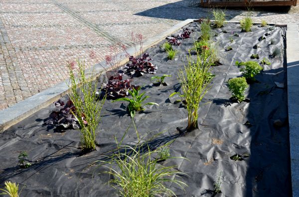 Landscape Fabric Installation in Midland