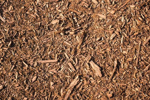 Wood Chips Removal in Midland
