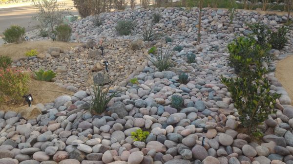 Yard Xeriscaping in Midland