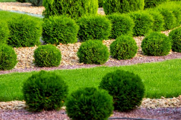 Bush Replacement in Midland