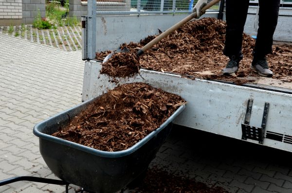 Cedar Mulch Delivery in Midland