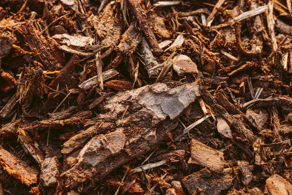 Bark Mulch Delivery in Midland