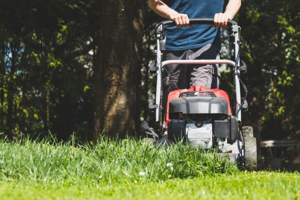 Garden Trimming Service in Midland