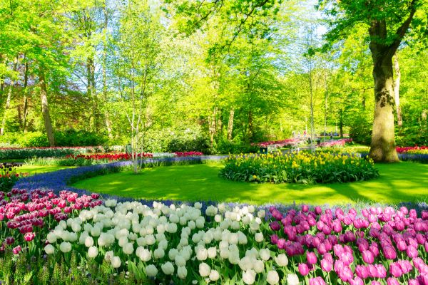 Flower Landscaping in Midland