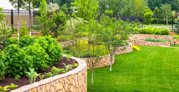 Yard Makeover Service in Midland