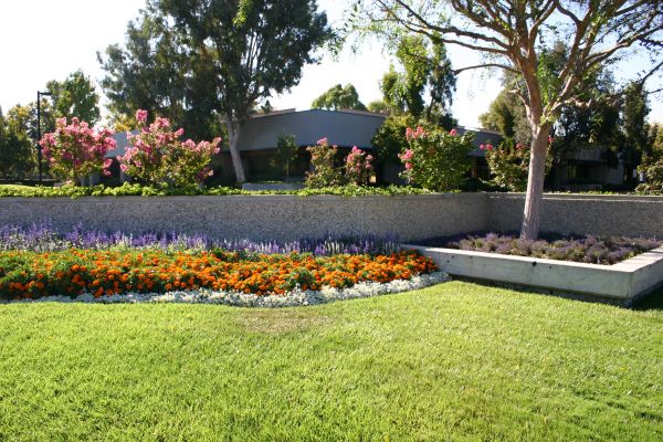 Commercial Landscape Service in Midland