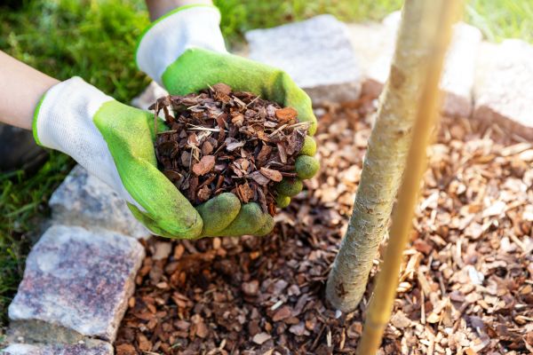 Tree Bark Delivery in Midland