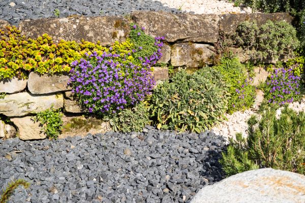Landscaping Rocks Installation in Midland