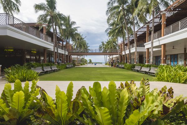 Commercial Lawn Renovation in Midland
