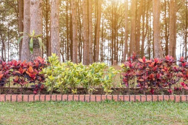 Small Garden Landscaping in Midland