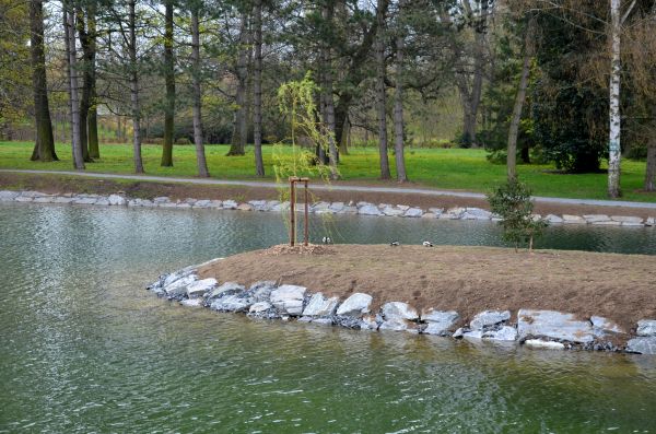 Pond Landscaping Service in Midland