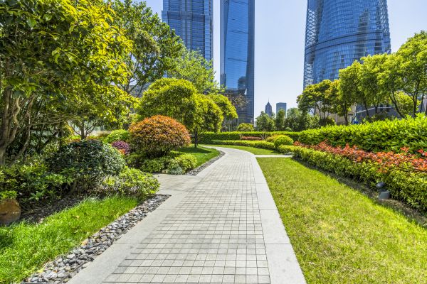 Commercial Landscaping in Midland