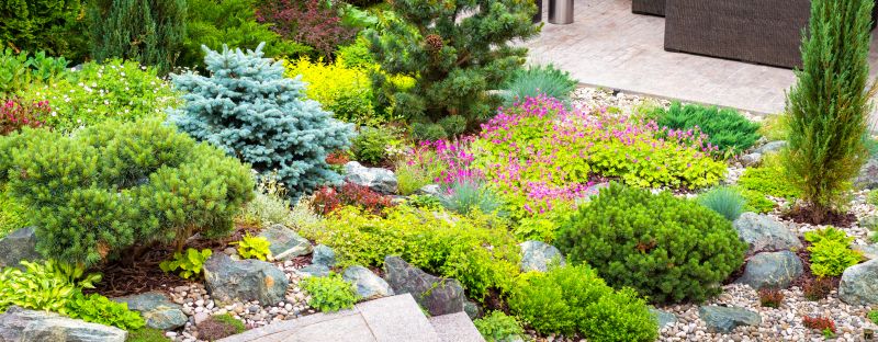 Landscaping with Mulch and Plants